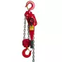 PALAN À LEVIER PREMIUM - DELTA RED - CMU : 800KG À 9T - LEVÉE 1,5M
